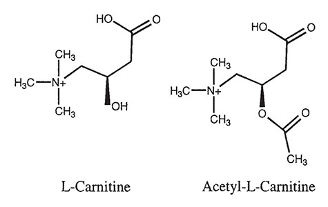 Ацетил-L-Карнитин
