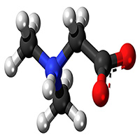 Диметилглицин (DMG)