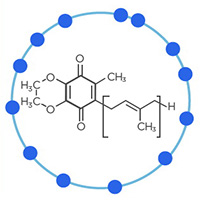 кофермент Q10